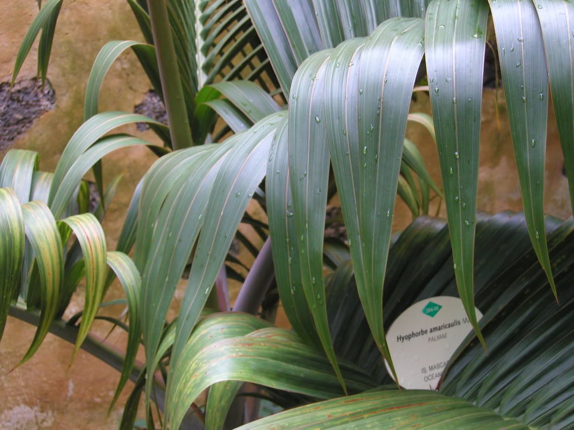 PA310024.jpg