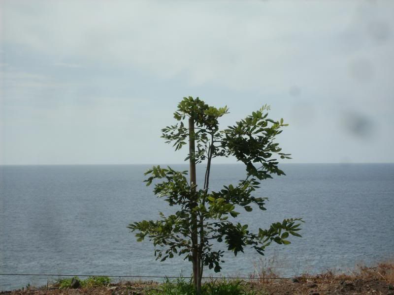 10-13octubre200921.jpg