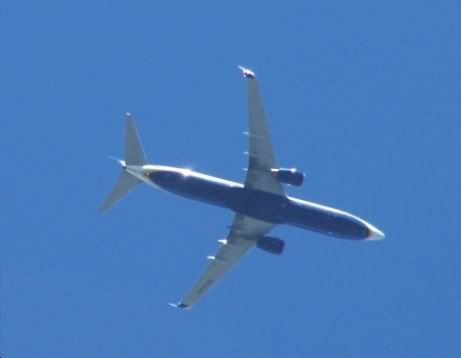 http://i54.photobucket.com/albums/g84/Stevie-Baby/new%20camera/ryanair737.jpg