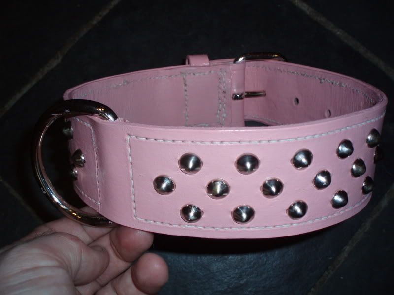 24inchpinkcollar.jpg