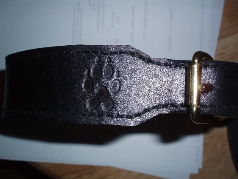 customsbtcollar1.jpg