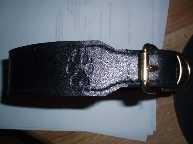 customsbtcollar2.jpg