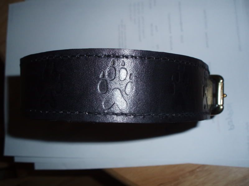 customsbtcollar3.jpg