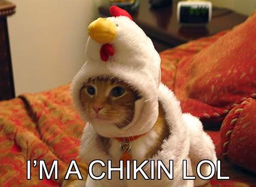 chikin.jpg