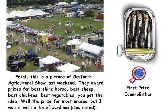 550JPEGGosforthAgriculturalShow.jpg picture by harold2356