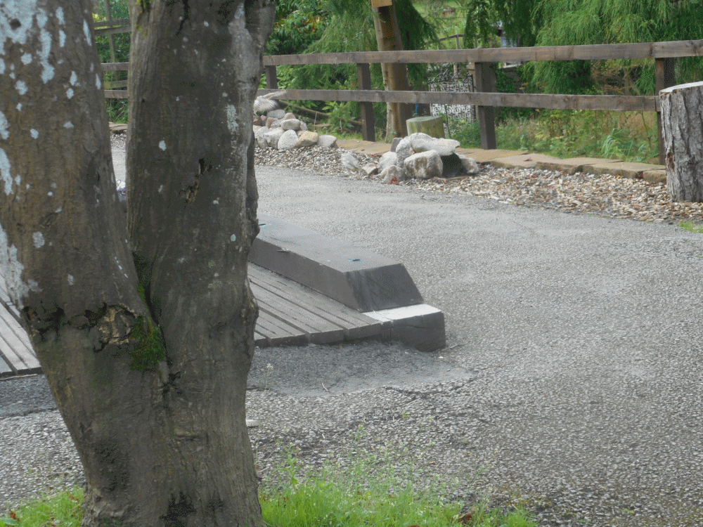  photo burrowing-owl-GIF-GIF smaller_zpsyhjyrld4.gif