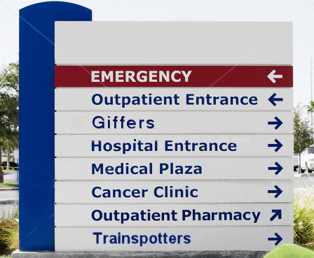  photo hospitalpetal 2_zps8ksysruc.gif