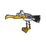  photo seagull screeeech GIF GIF_zpsnyp8u9dd.gif