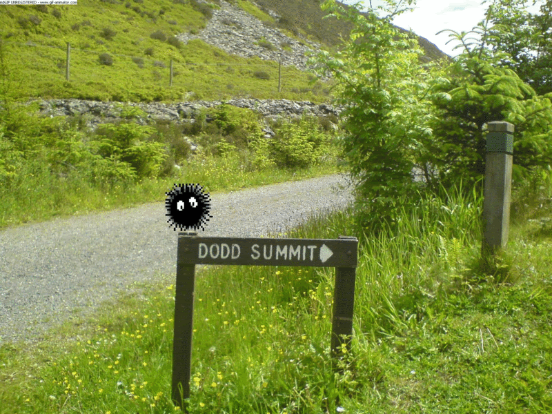 DoddGIF.gif picture by harold2356