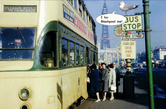 LuvBlackpool550.gif picture by harold2356