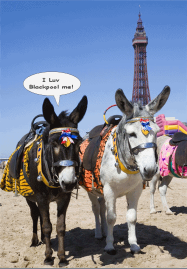 Luvblackpooldonkeys.gif picture by harold2356