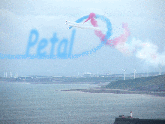 RedArrows550GIF.gif picture by harold2356