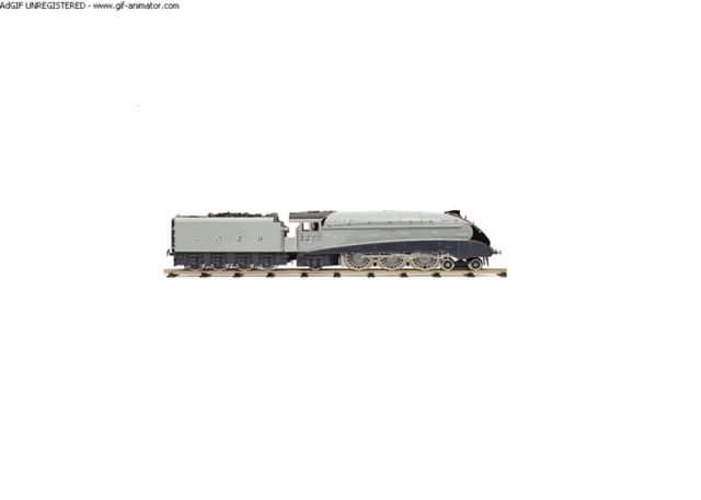 SilverFoxinaction.gif picture by harold2356