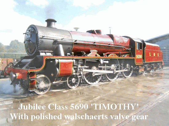 Timothy550.gif picture by harold2356