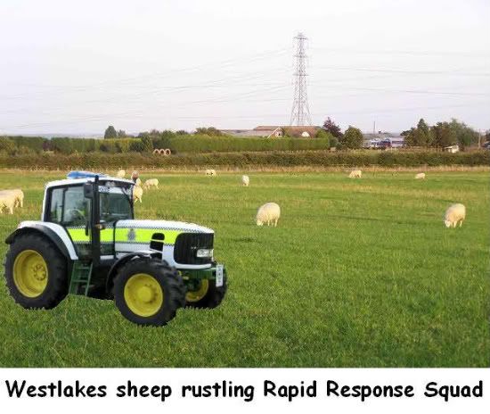 policesheep.jpg picture by harold2356