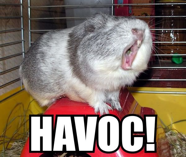 f_Havocm_7737897.jpg