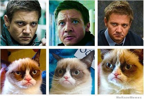 jeremy-renner-is-grumpy-cat_zps54bb30e0.jpg