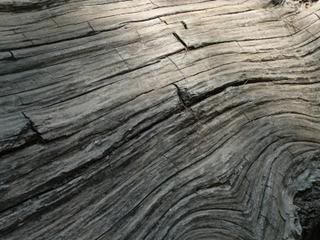 wood pattern 1