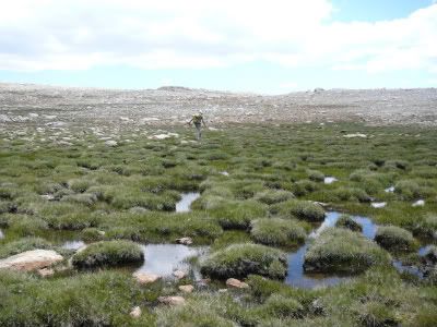 Merriam Bog