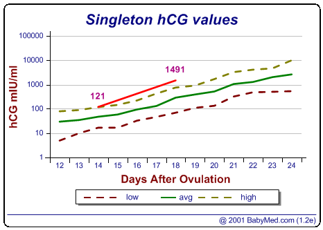 Beta hcg male