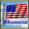usaflagshannon.gif