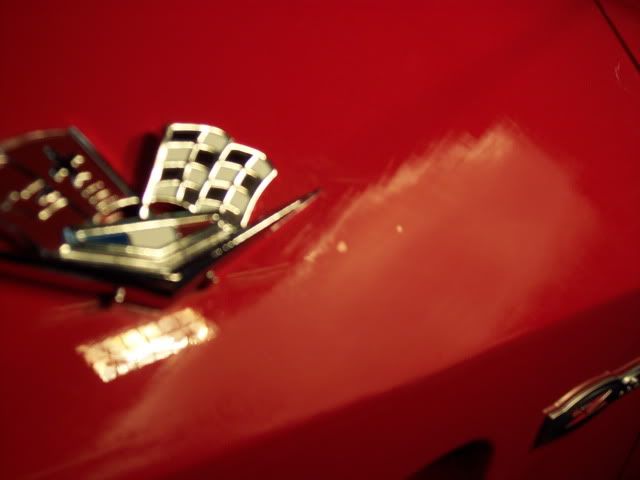 100_4042.jpg
