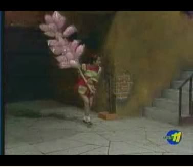 Chaves-ArvoredeCarambolas1982_19.jpg
