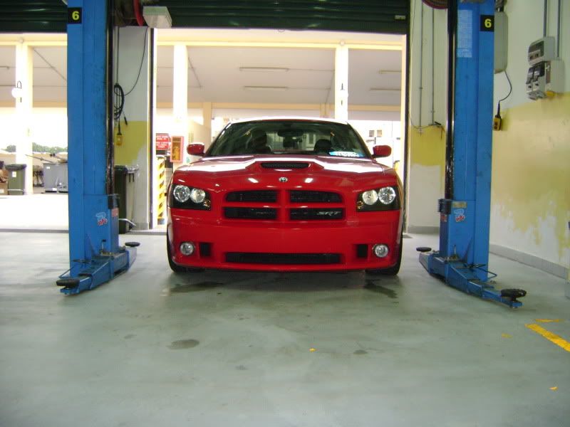 DSC02778.jpg