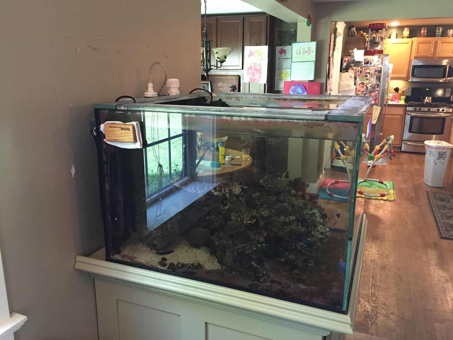 A PERFECTLY SUCCESSFUL FAILURE REEF2REEF Saltwater and Reef