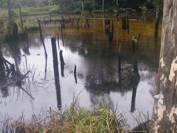 A lake contaminated by repeated spills near Dorissa base, oil block 1-AB. Photo courtesy of Amazon Watch. 