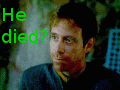 siegeav.gif