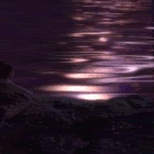 thesearch.gif