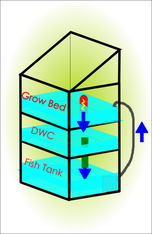 The Mini Plant Water Cycle