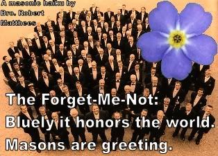 Masonic_forget-me-not_flower.jpg