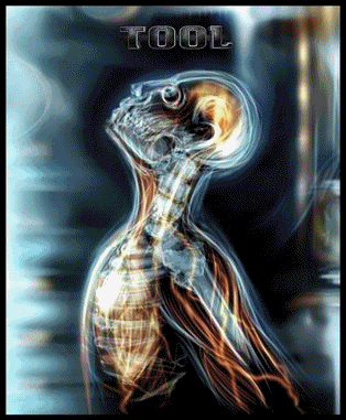 tool-1.gif image by iris6