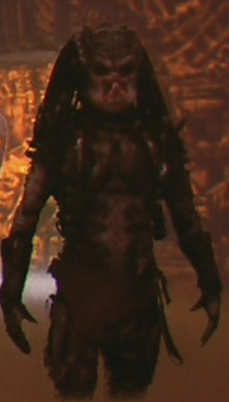 Predator, todas las especies de predator. (Mejorado) Predator, todas las especies de predator. (Mejorado)