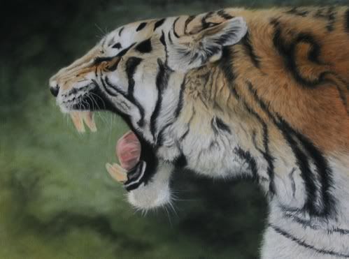 [Bild: roaring-tiger-pet-portrait-ENLARGE.jpg]