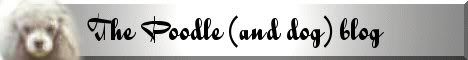 The Poodle (and Dog) Blog