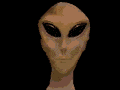 1351012993439c4f5774a10.gif
