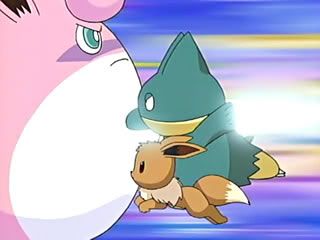 [PokeCommunity.com] The new May's Pokemons Fan Club!
