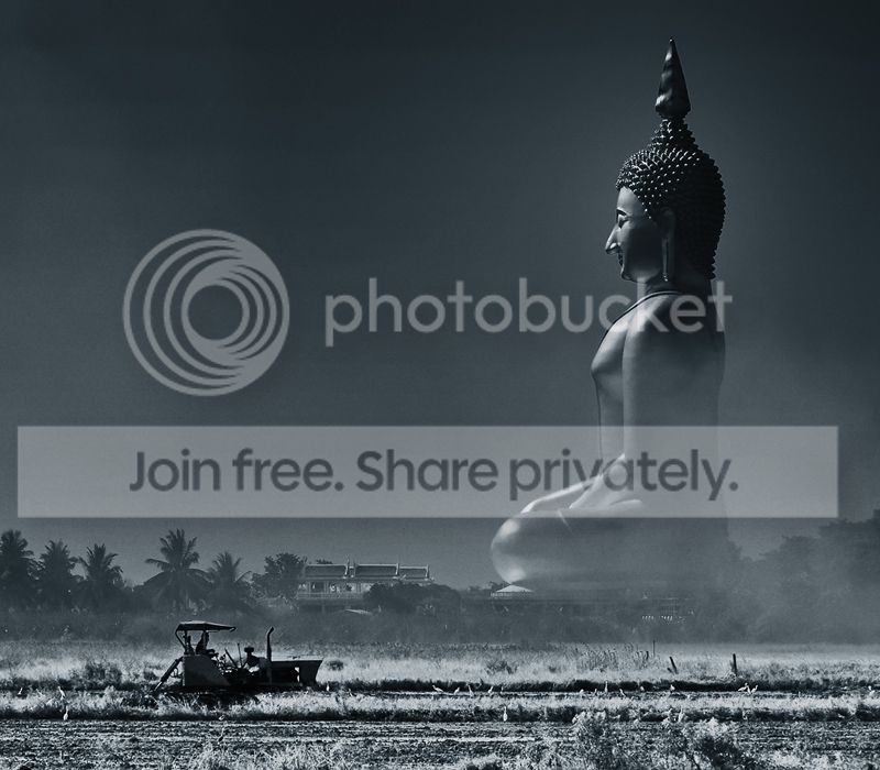 b2_zpsd09912e2.jpg