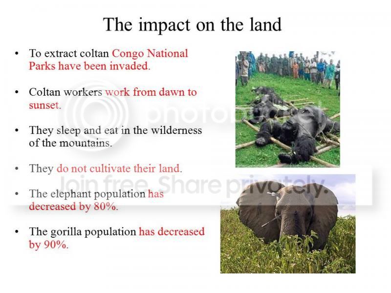 Slide16_zpsda618cb4.jpg