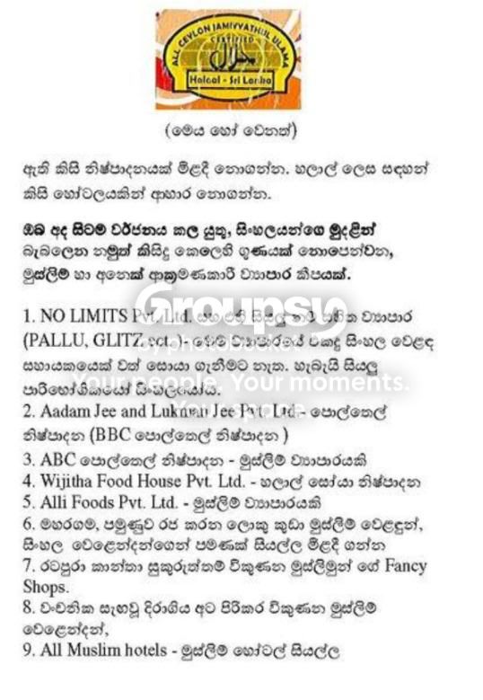 p10.jpg