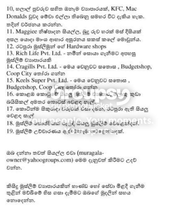 p11.jpg
