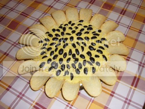 http://i54.photobucket.com/albums/g114/SlOnIOnoK/P1080415_2-1.jpg