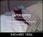 pictureofamber0qr.jpg