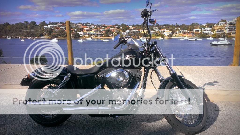 street bob 2 into 1 exhaust
