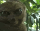 https://i54.photobucket.com/albums/g97/1wallpaper1/Forum%20stuff%20and%20smilies/3096oat.gif